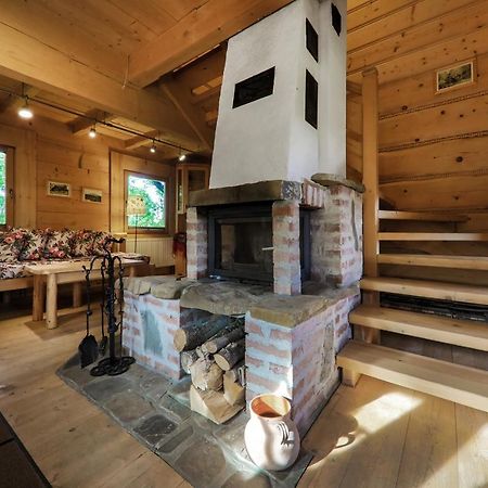 Nowe BystreAlpejska Szarotka别墅 外观 照片